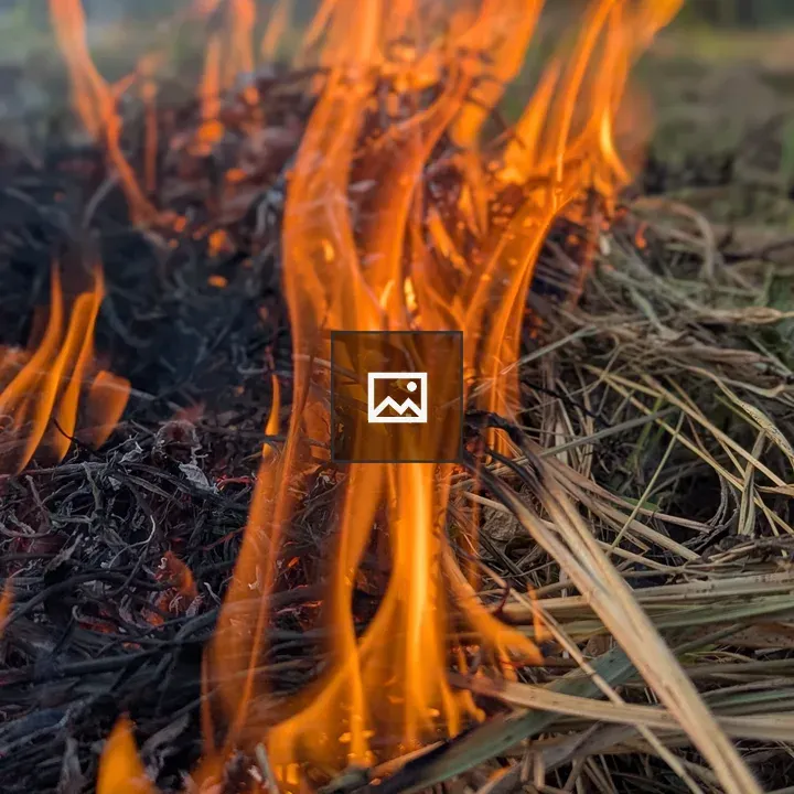 Close-up of Flames on Dry Grass