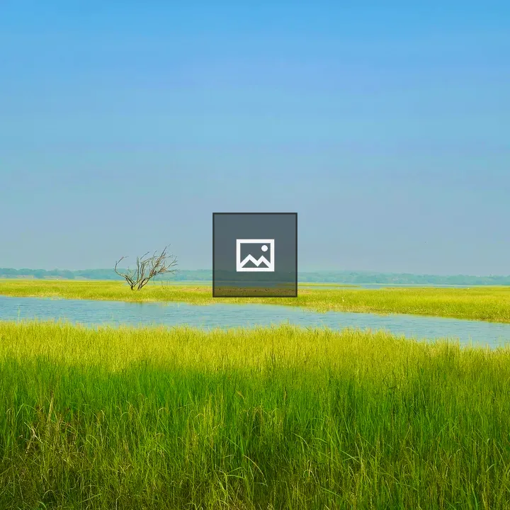 Meadows by Thol Lake