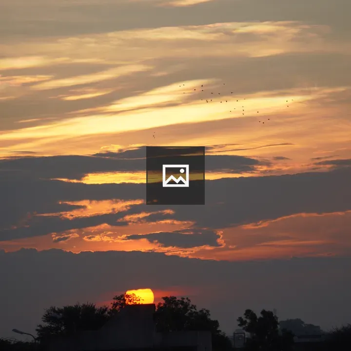 Sunset over orange sky and trees