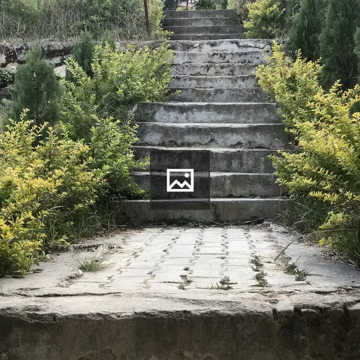 Path of stairs in the park
