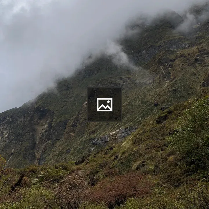 North ABC nature view