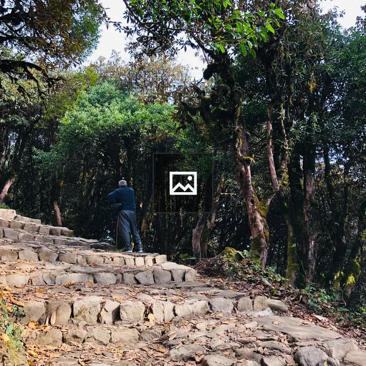 Nepal Hills Travelling Rest