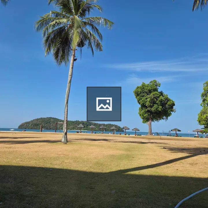 Beach scene with coconut tree