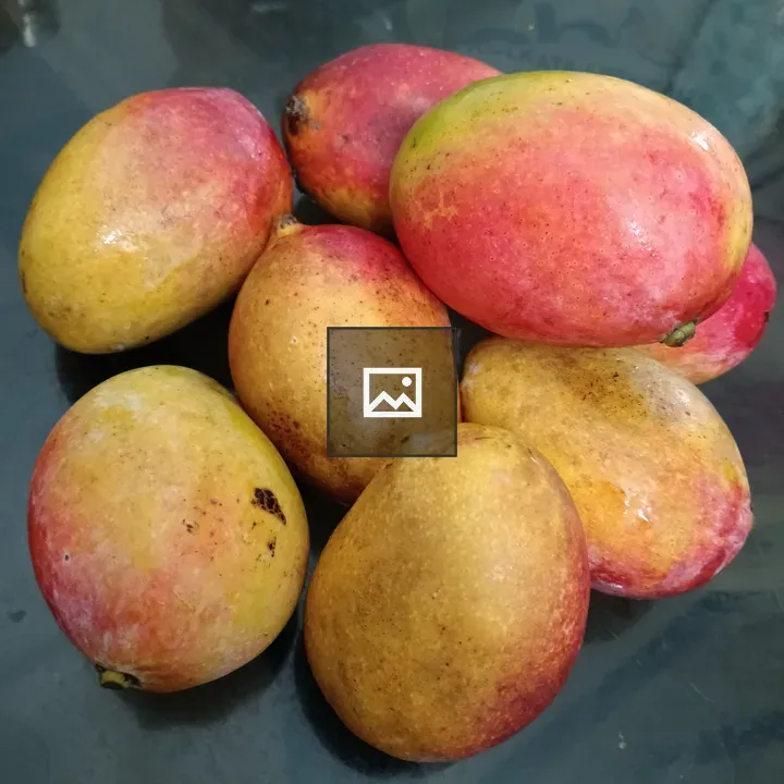 Mangoes on Glass Surface