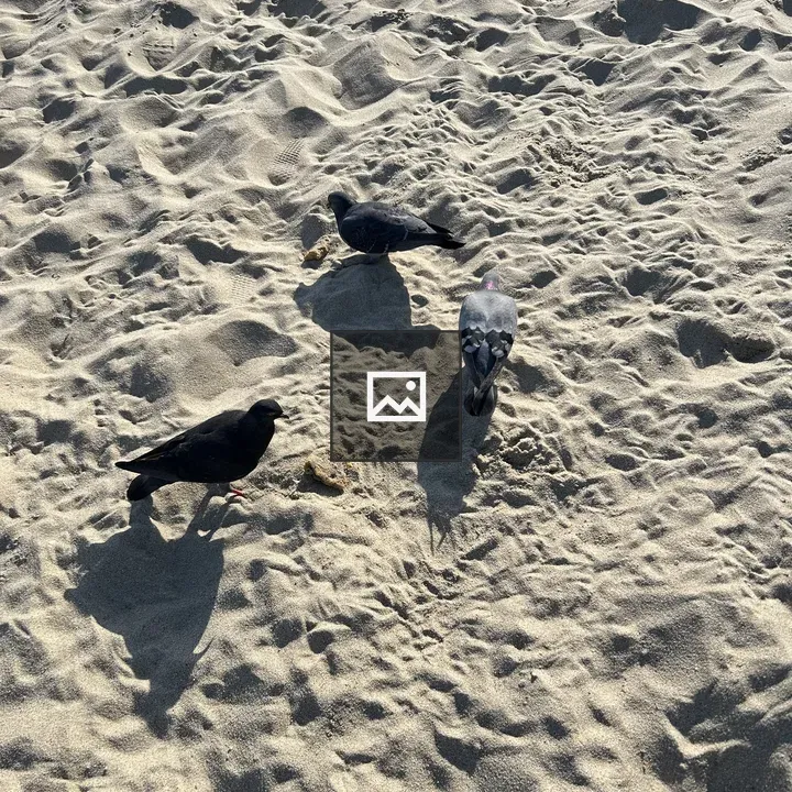 Beach with footprints and birds