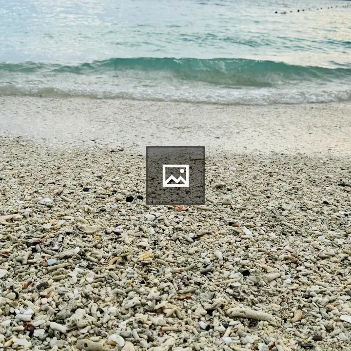 Coral Beach at Low Angle