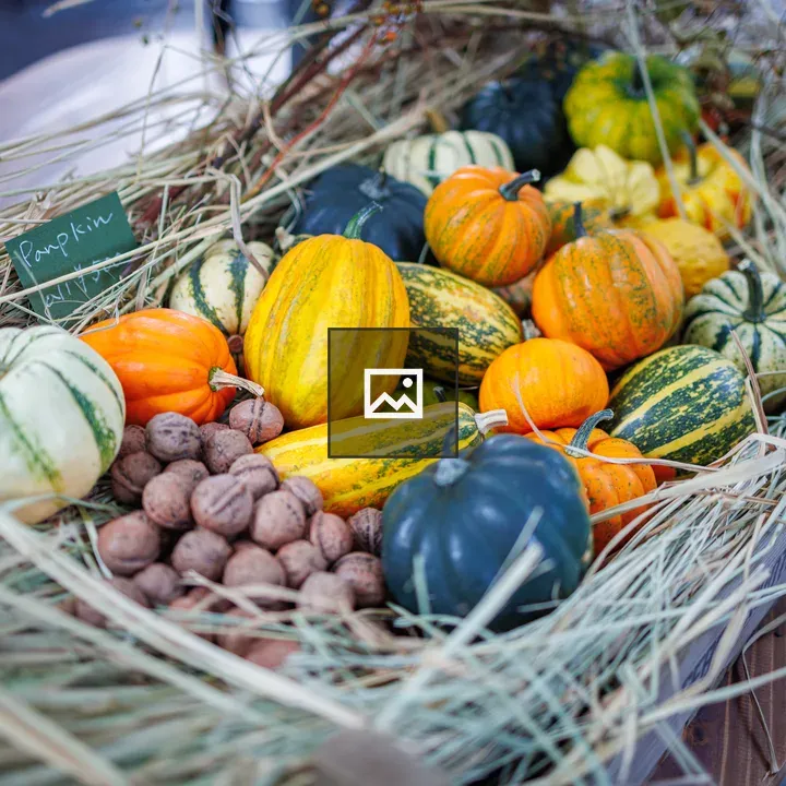 Halloween pumpkins in Tokyo