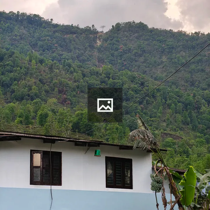 Stone house among banana trees