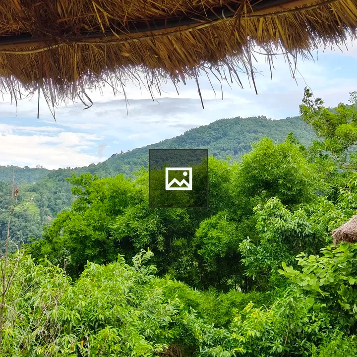 Thatched Roof Framing with Foliage