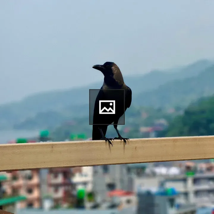 Crow on Wooden Rail