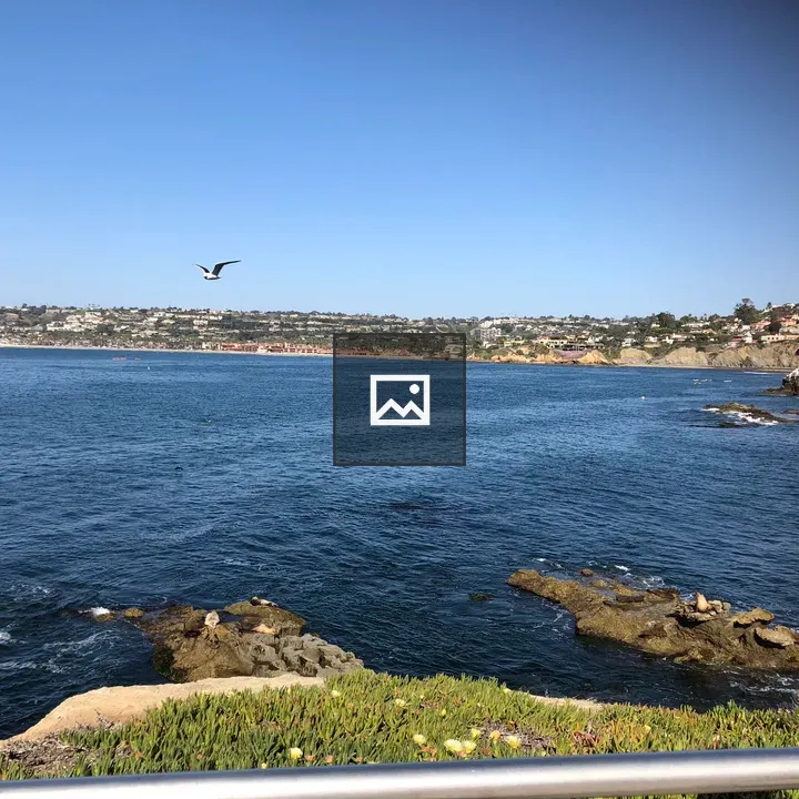 Waterfront La Jolla Bay with Sea Lions