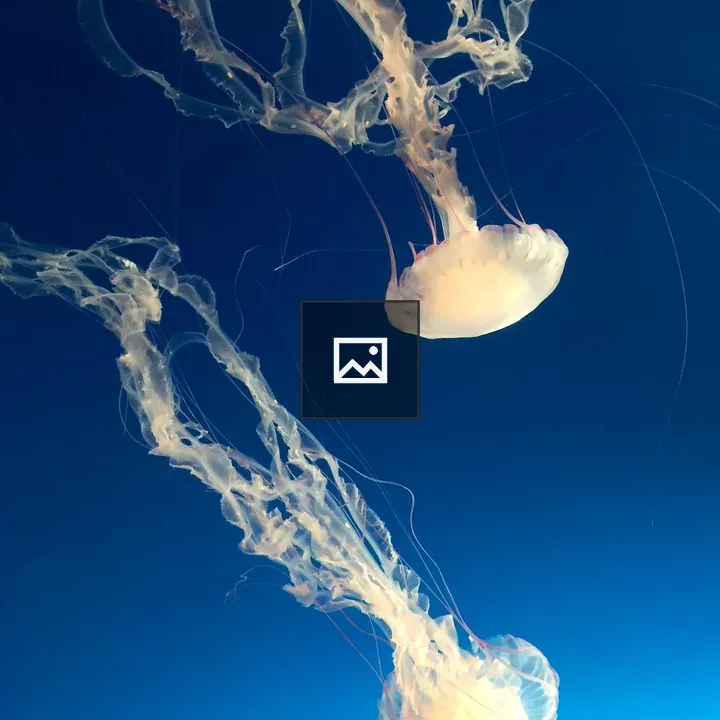 Floating jellyfish in blue water