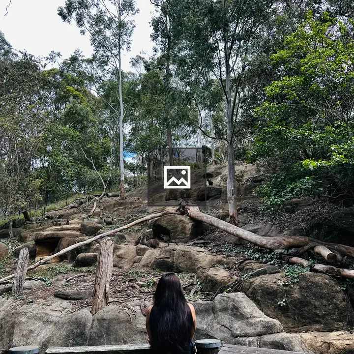 Girl in reserve with trees