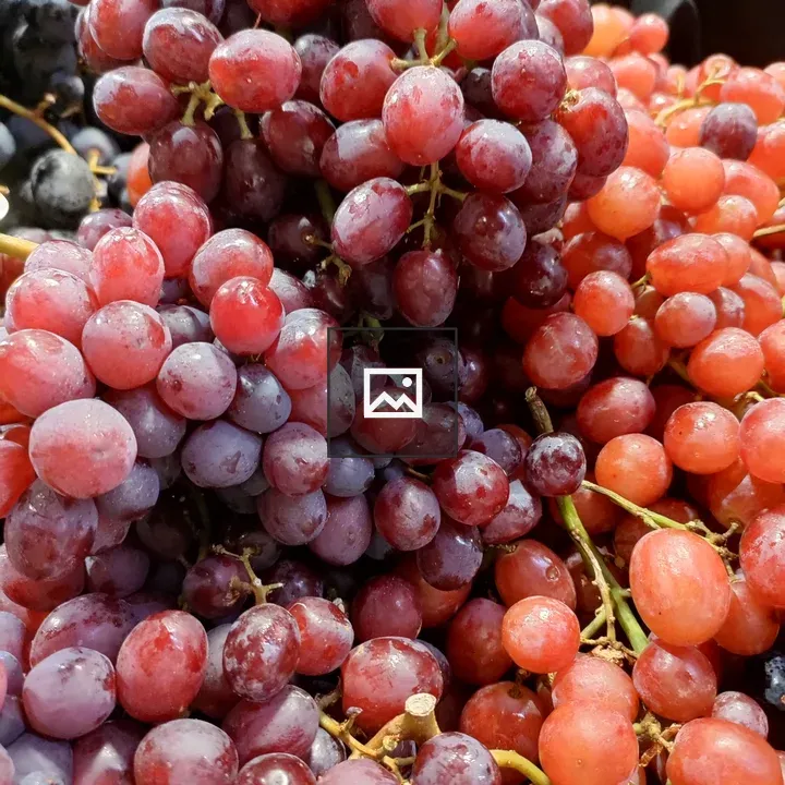 Red Grapes