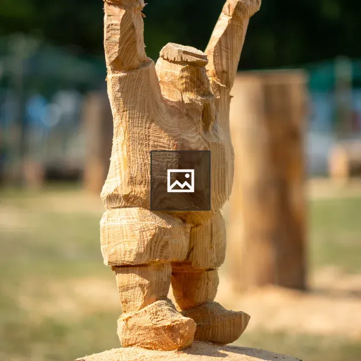 Wooden figurine carved from log