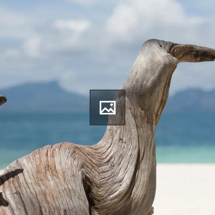 Nicely shaped driftwood on beach