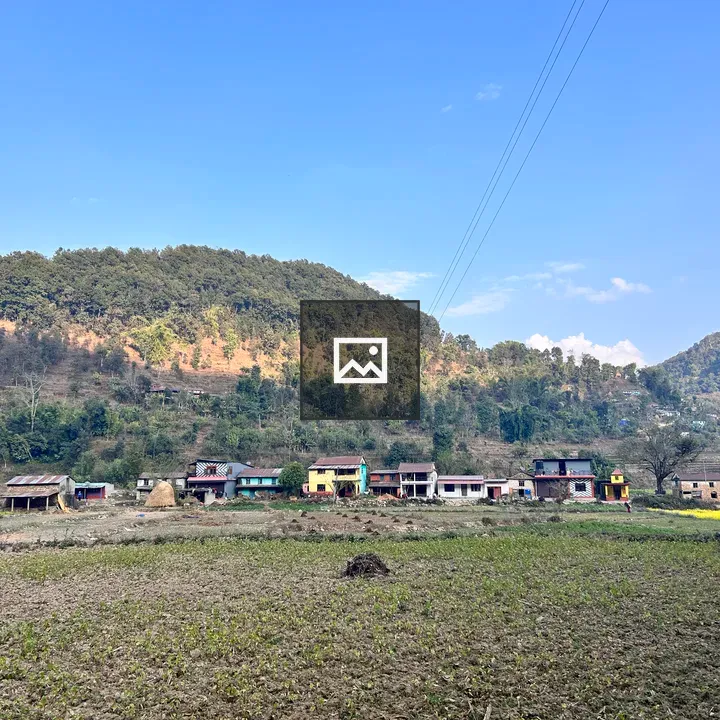 Village among mustard fields