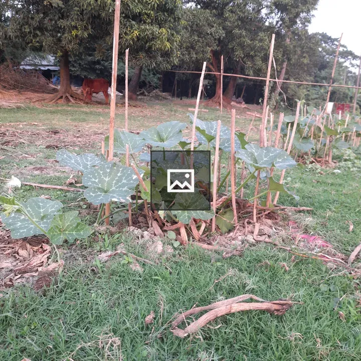 Wooden Stakes with Plants and Livestock