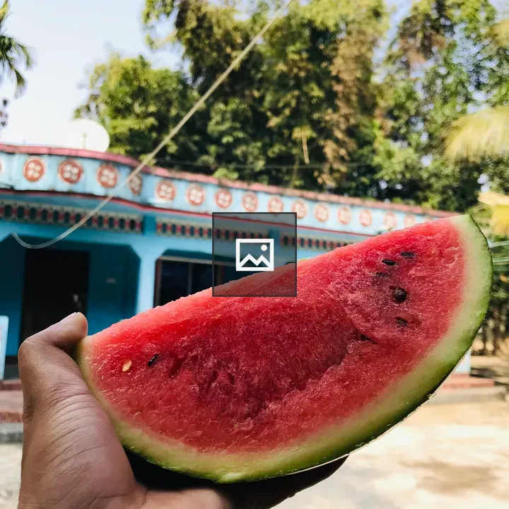 Watermelon Slice in Hand