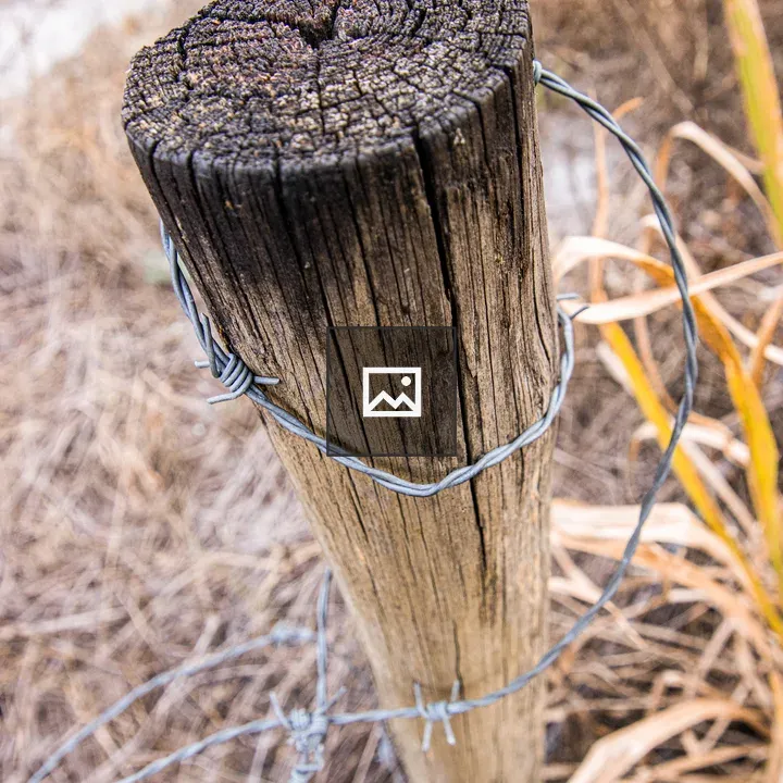 Fence post with barbed wire