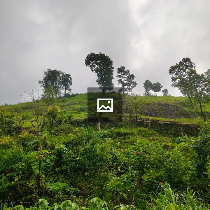 H hillside with trees and greenery
