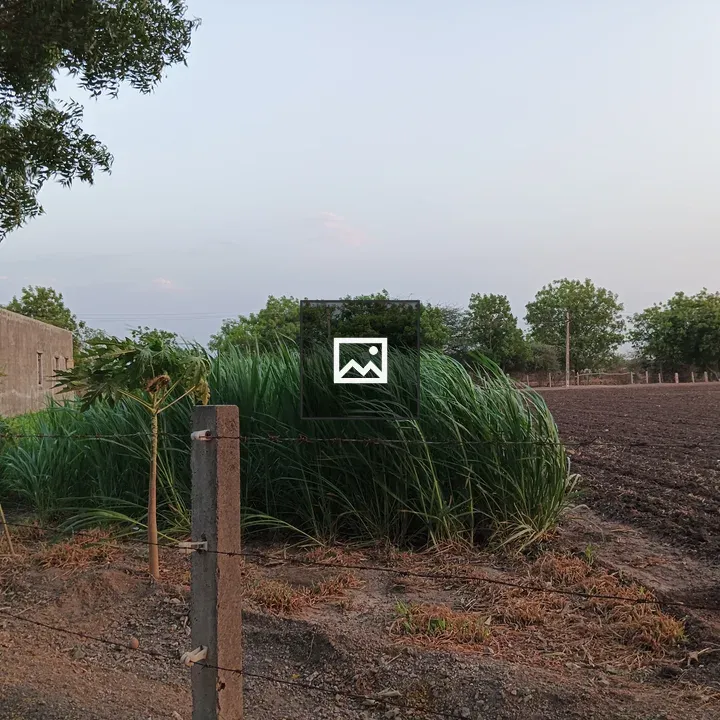 Rural garden with fence and field