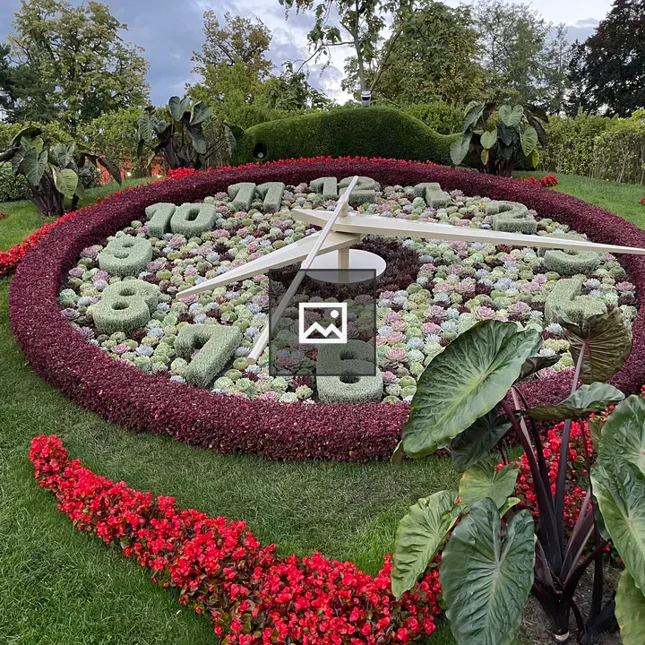Plant-made outdoor clock