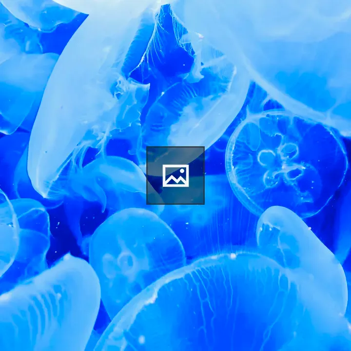 Jellyfish in Aquarium