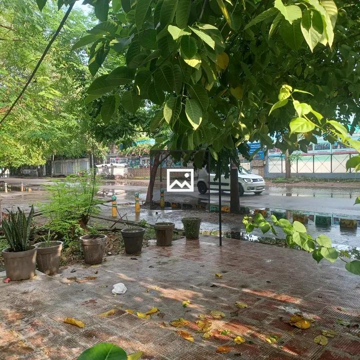 Water everywhere in nature scene