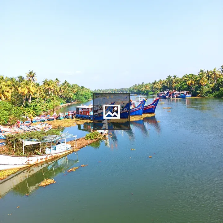 Fishing boats by lagoon and palm