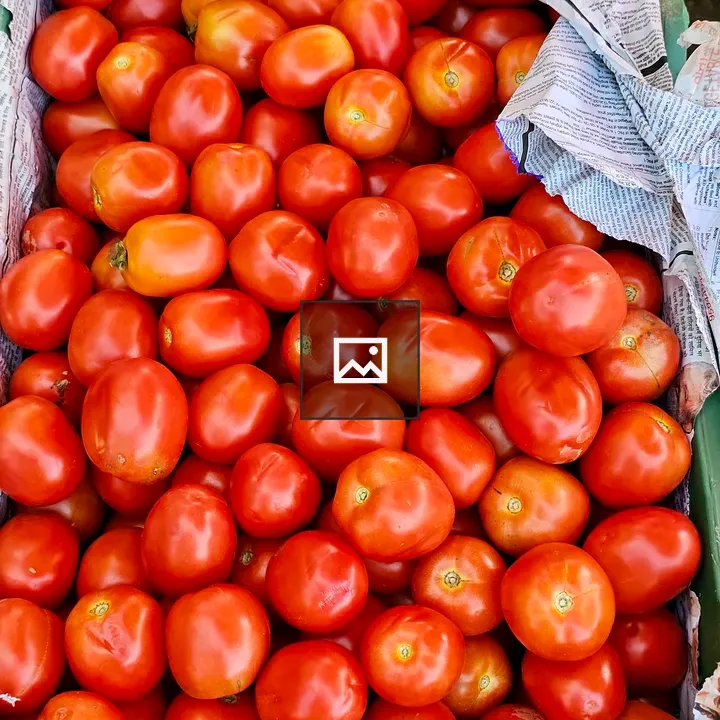 Red Tomatoes in Crate