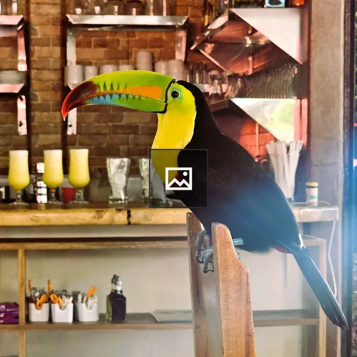 Toucan on a Wooden Chair