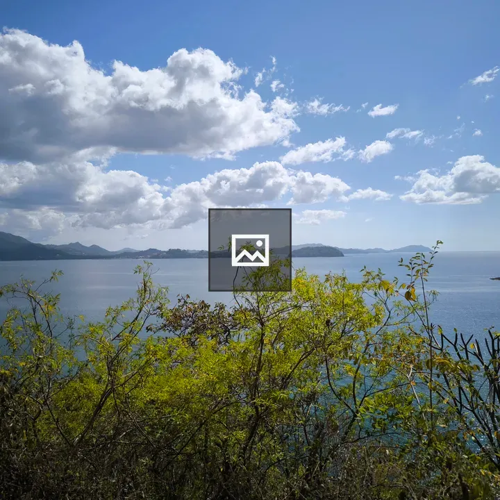 Ocean View from Sunny Hill