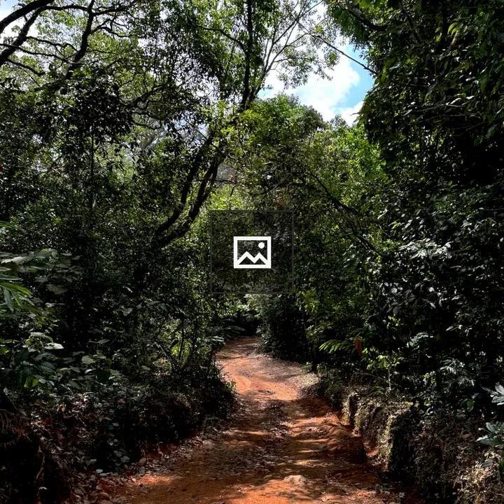 Off-road Track Through Forest