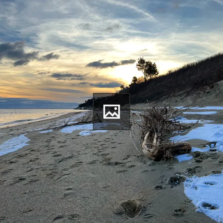 Cape Cod Beach with Driftwood and Snow