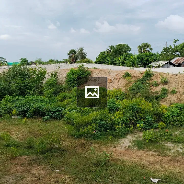 Grassy area with shrubs and hill