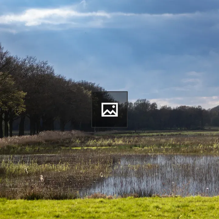 Flooded meadows landscape