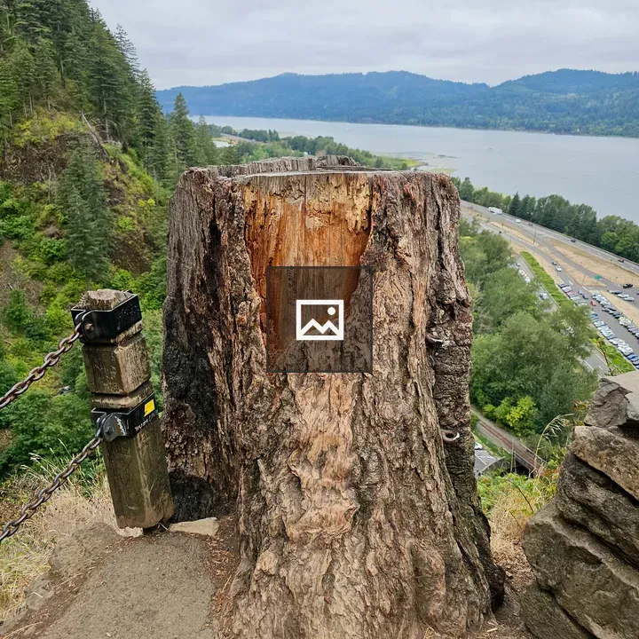 Carved tree stump by cliff