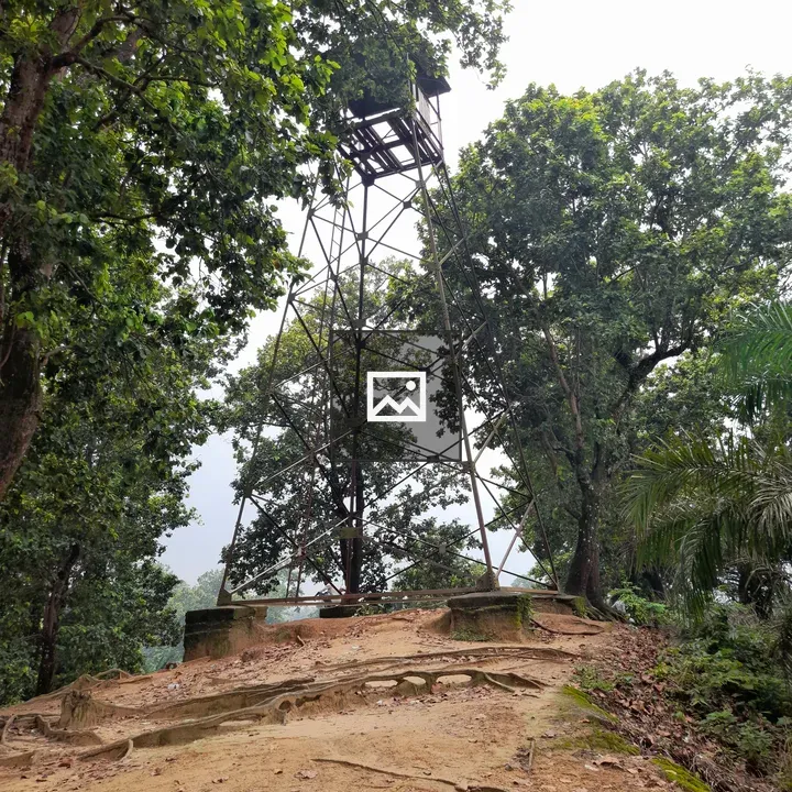 Tower on hill with bench