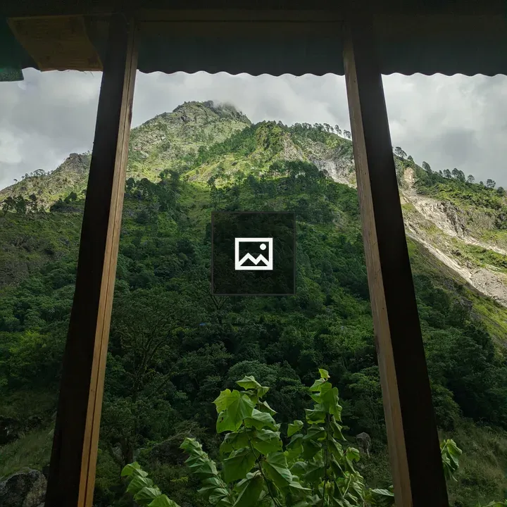 View from Inside a Wooden Structure