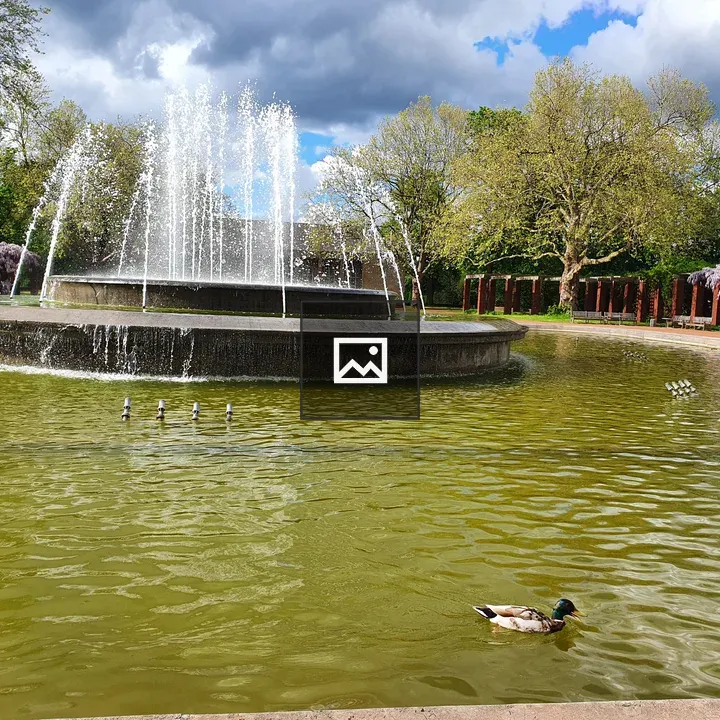 Ducks at Germany Nord Park Fountain