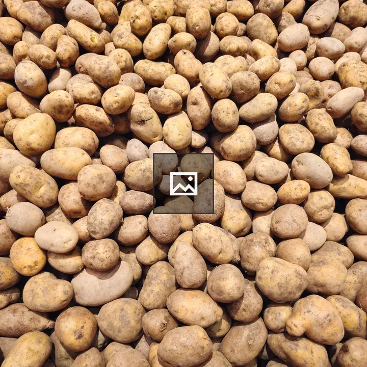 Potatoes in Hypermarket Display
