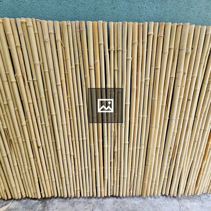Close-up Bamboo Poles Against Green Wall