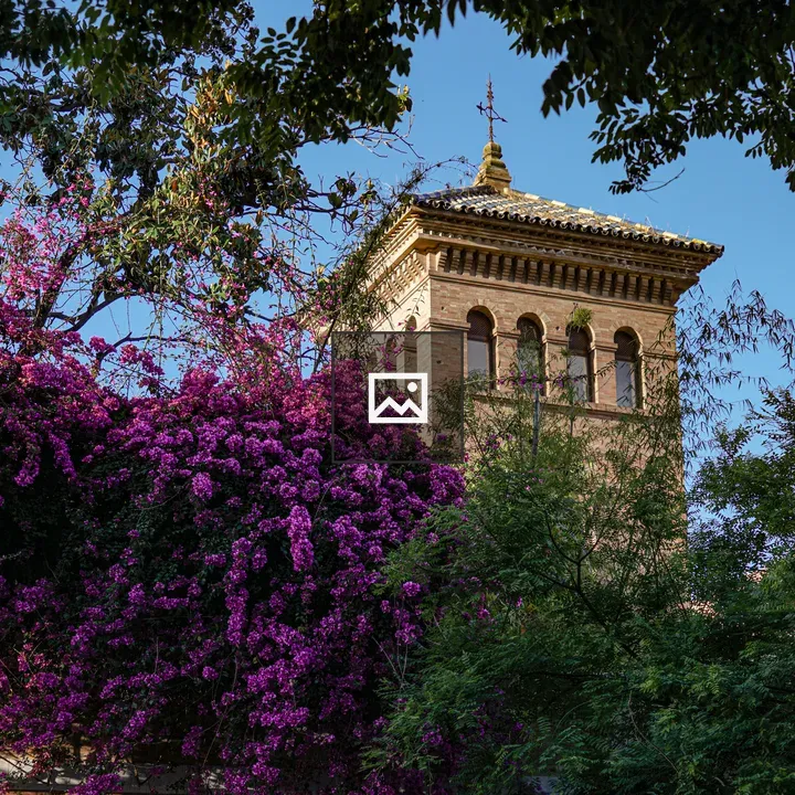 Bougainvillea with Old Building