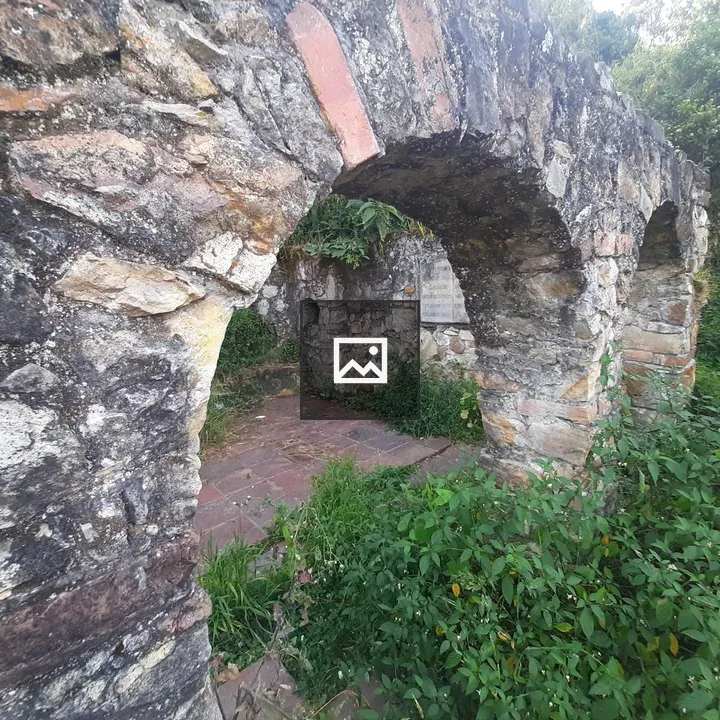 Arched stone ruin with greenery
