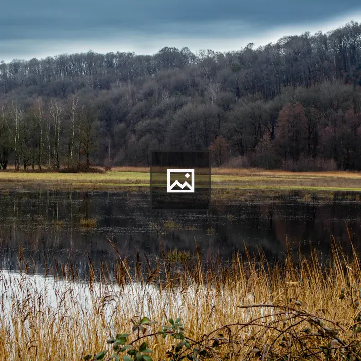 Flooded meadow with distant hills