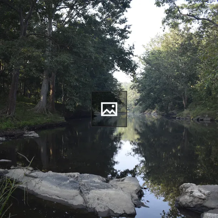 Narrow River Through Jungle