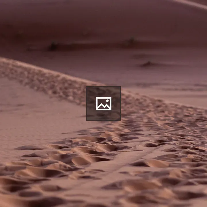 Footprints in the Desert