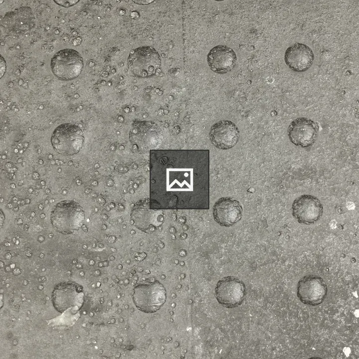 Metal plate with rivets