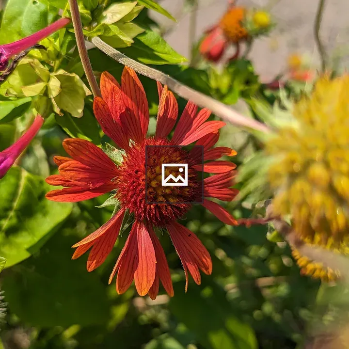 Very red flower in portrait